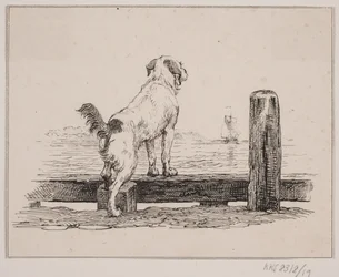 Hunden ved stranden
