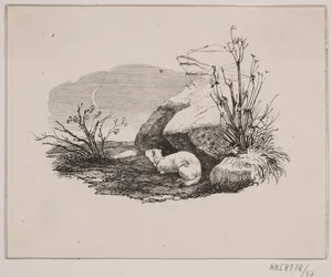 Lækatten