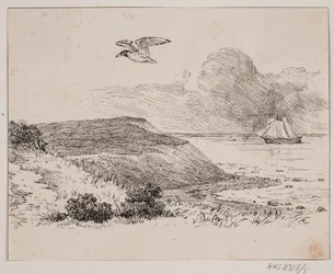 Mågen