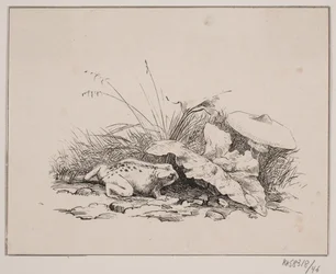 Tudsen