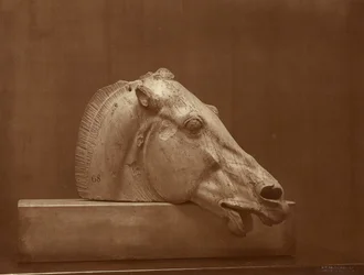 [Hestehoved fra Parthenons fronton, British Museum]