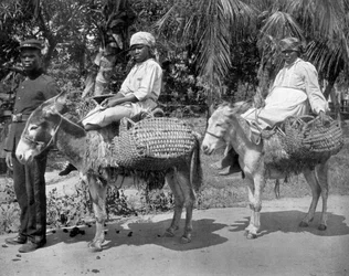 Afsted til fængslet, Jamaica, c1905.