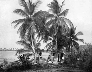 På vejen til Blue Hole, Port Antonio, Jamaica, c1905.