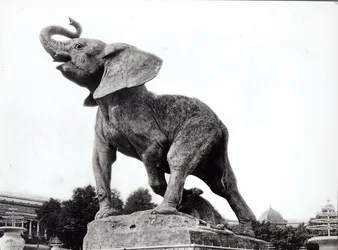 Ung elefant fanget i en fælde (1878) af Emmanuel Fremiet (1824-1910) foran Trocadero-paladset, bygget til den universelle udstilling (1878), Paris, 1888