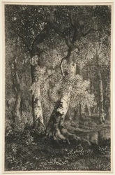 Bøgene