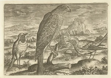 Nogle fugle i et landskab Fugle (serietitel) Avivm vivae (serietitel)
