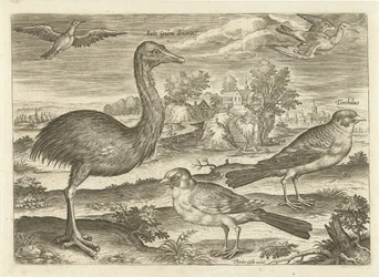 Nogle fugle i et landskab Fugle (serietitel) Avivm vivae (serietitel)