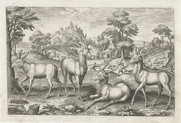 hjort Firebenede dyr (serietitel) Animalivm Qvaddrvpedvm (serietitel)