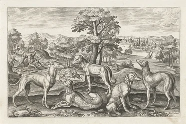 jagthunde Firebenede dyr (serietitel) Animalivm Qvaddrvpedvm (serietitel)