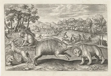 jagt vildt Firebenede dyr (serietitel) Animalivm Qvaddrvpedvm (serietitel)
