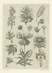 Kejserkrone, orkidé og liljekonvaller Florilegium (serietitel)