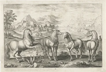 Heste Firebenede dyr (serietitel) Animalivm Qvaddrvpedvm (serietitel)