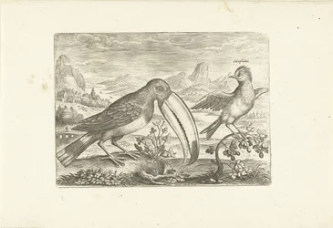 To eksotiske fugle i et landskab Fugle (serietitel) Avium vivae (serietitel)