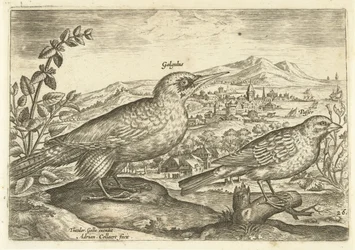 To fugle i et landskab Avium Vivae (serietitel) Fugle (serietitel)
