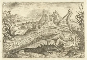 To fugle i et landskab Avium Vivae (serietitel) Fugle (serietitel)