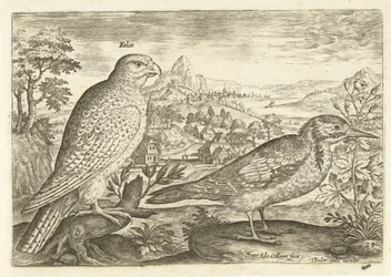 To fugle i et landskab Avium Vivae (serietitel) Fugle (serietitel)