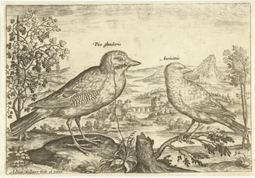 To fugle i et landskab Fugle (serietitel) Avium Vivae (serietitel)