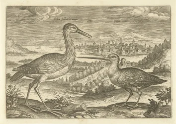 To fugle i et landskab Fugle (serietitel) Avium vivae (serietitel)