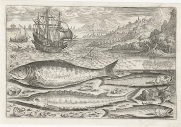 Fire fisk på stranden Fiskeri (serietitel) Piscium vivae-ikoner (serietitel)