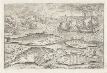 Fire fisk på stranden Fiskeri (serietitel) Piscium vivae-ikoner (serietitel)