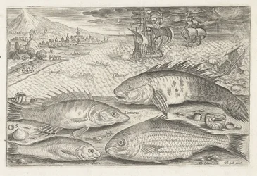 Fire fisk på stranden Fiskeri (serietitel) Piscium vivae-ikoner (serietitel)