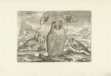 Fugle og sommerfugle i et landskab Fugle (serietitel) Avium vivae (serietitel)