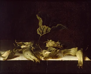 Stilleben med hasselnødder, 1696