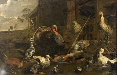 Høns, ænder og en kalkunhane
