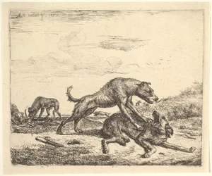 Kamphunde, fra forskellige dyr, 1657.