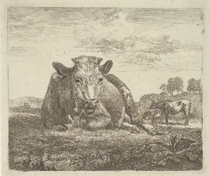 Liggende ko, fra forskellige dyr, 1657.
