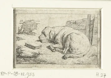 sovende hund