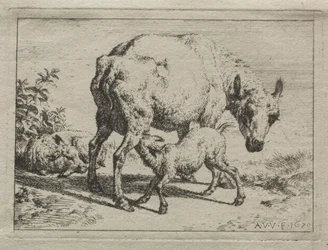 Moden og de to lam, 1670.