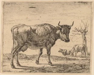 Tre køer