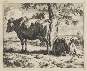 To køer under et træ