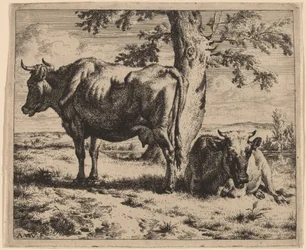 To køer under et træ