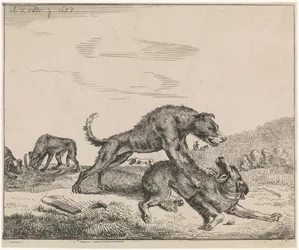 kamphunde Husdyr (serietitel)