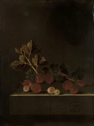 En kvist stikkelsbær på en stensokkel, 1699
