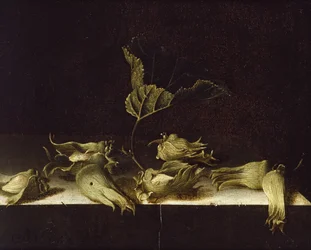 Stilleben med hasselnødder, 1696 (olie på papir)