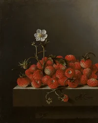 Stilleben med skovjordbær, 1705