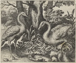Fabel om Svanen og Storken