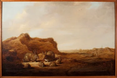 Landskab med kaniner Maleri af Albert (Aelbert eller Aelbrecht) Cuyp (1620-1691) 1641-1642 Dim. 44x67 cm Genes, Musei di Strada Nuova (ex Palazzo Rosso)