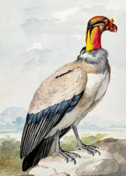 Stenløber