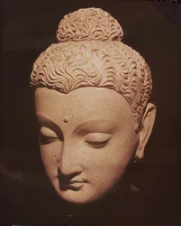Buddha-hoved, græsk-buddhistisk stil, fra Hadda (stuk)