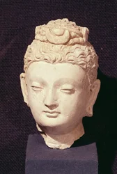 Hoved af en Buddha, græsk-buddhistisk stil, fra Hadda (stuk)