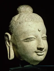 Hoved af en smilende Buddha, græsk-buddhistisk stil, fra Afghanistan, 1.-4. århundrede (stuk)