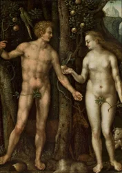 Polsk:  Adam i Ewa Adam og Eva