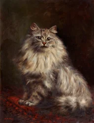Persian Cat, c.1908-20dani