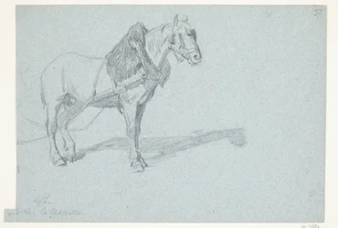En hest