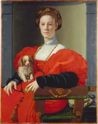 Portræt af en dame i rødt (Francesca Salviati?)
