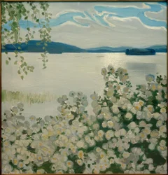 Hvide roser